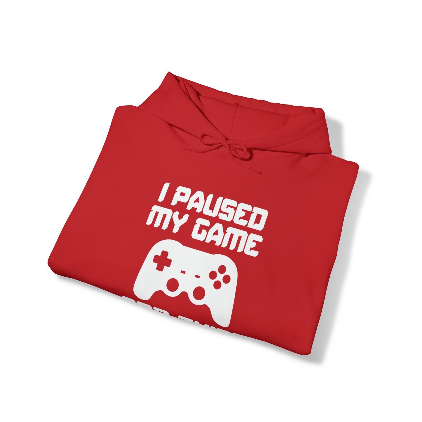 I Paused My Game For This? - Unisex Heavy Blend™ Hooded Sweatshirt