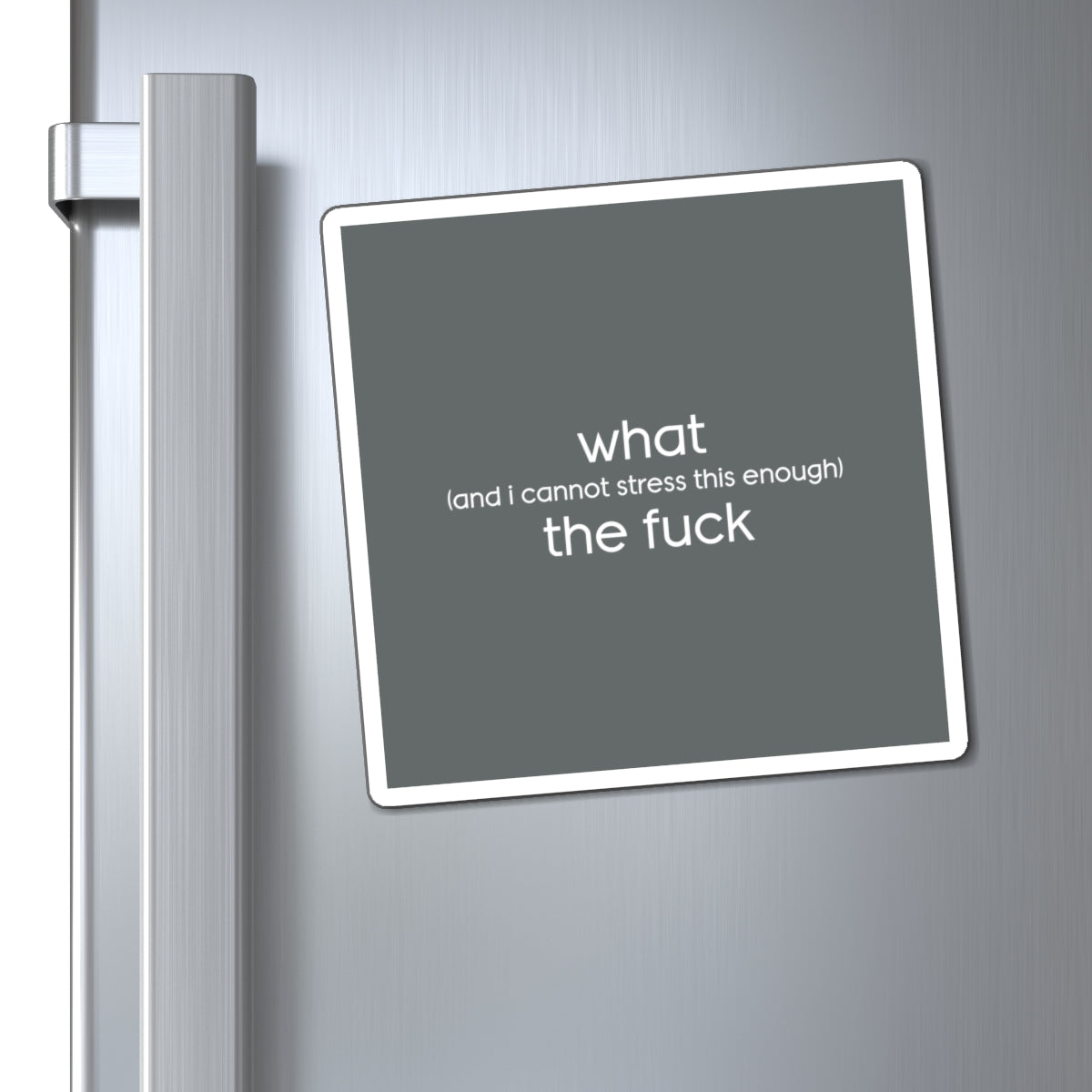 What (and I Cannot Stress This Enough) The F&@$ - Magnets