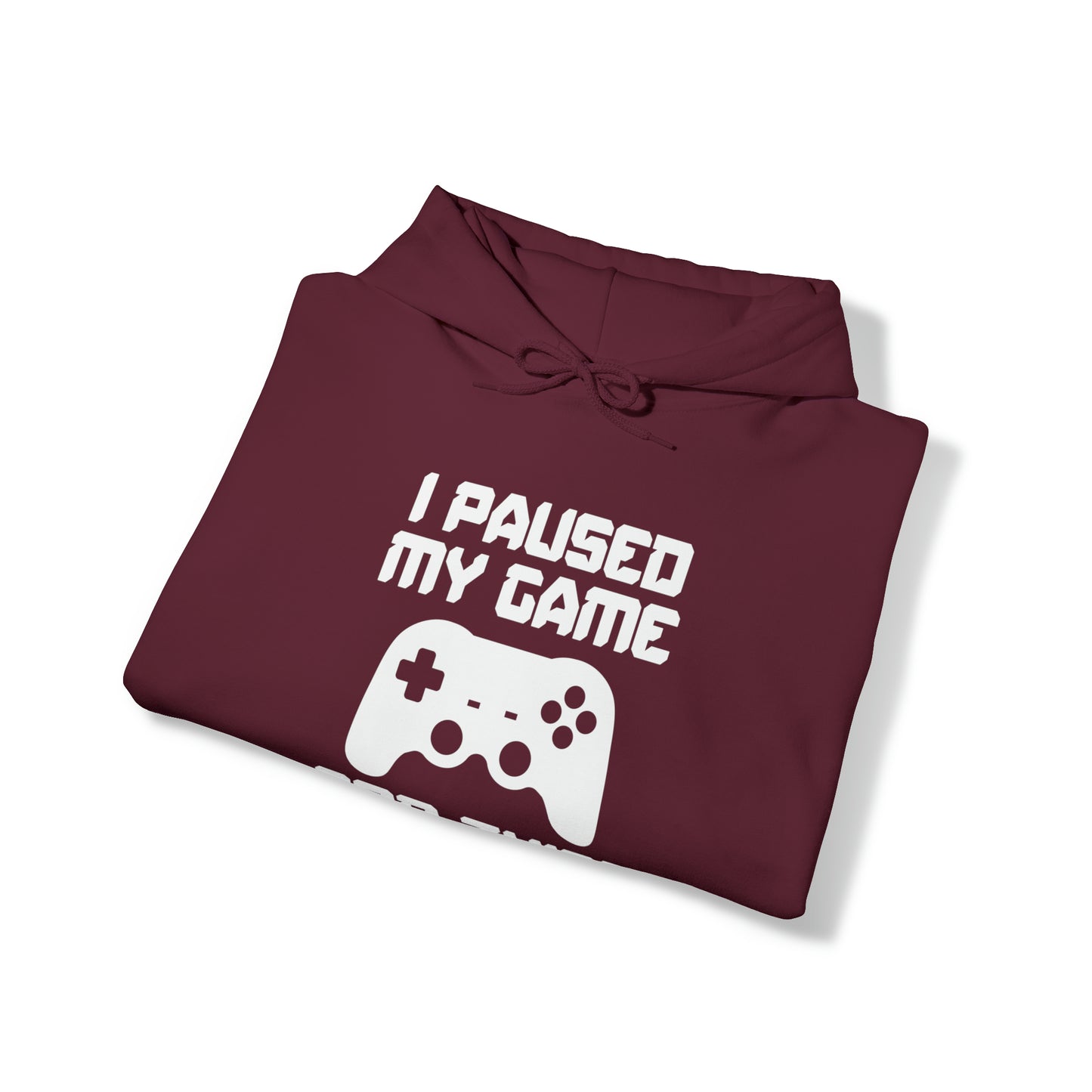 I Paused My Game For This? - Unisex Heavy Blend™ Hooded Sweatshirt