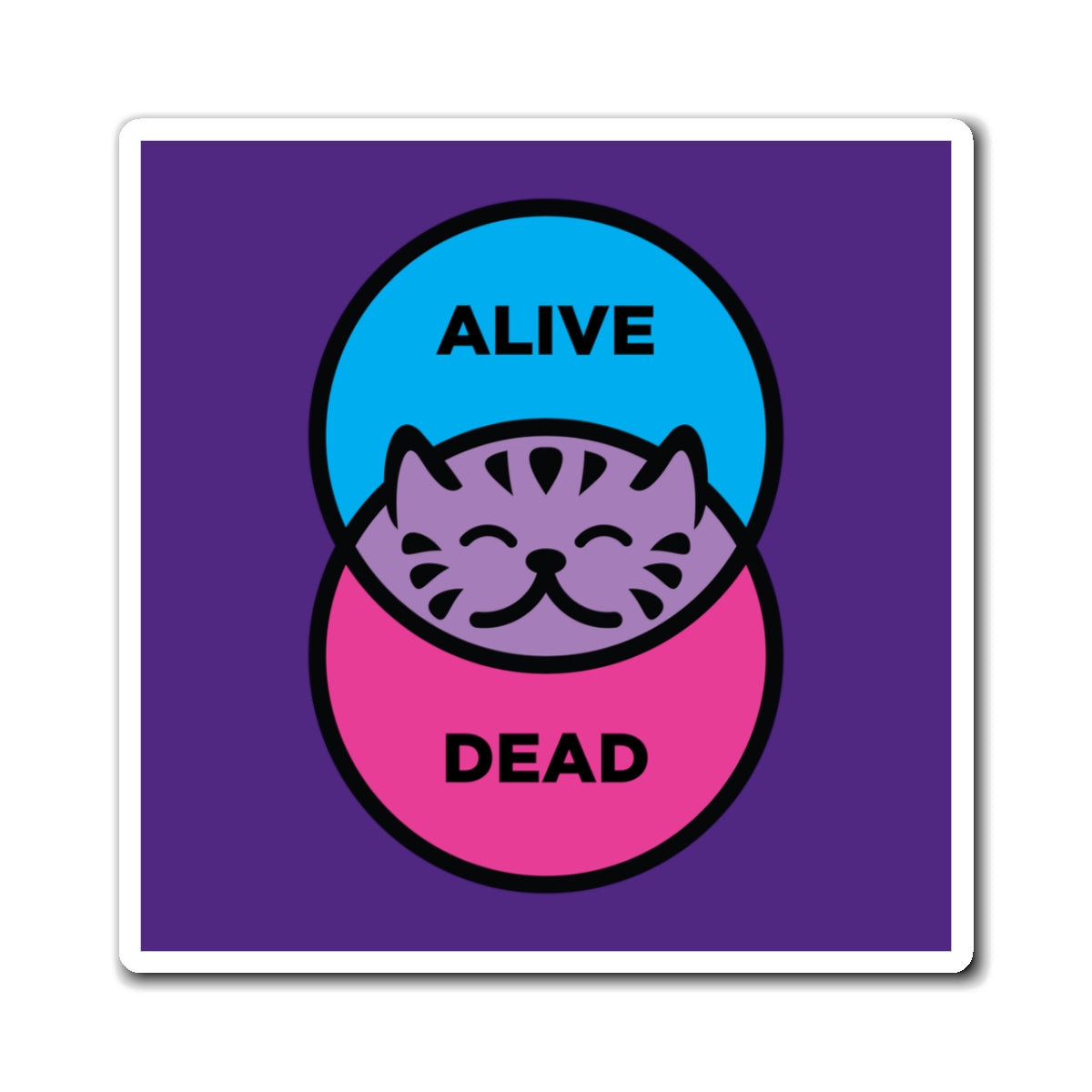 Schrödinger's Cat - Magnets
