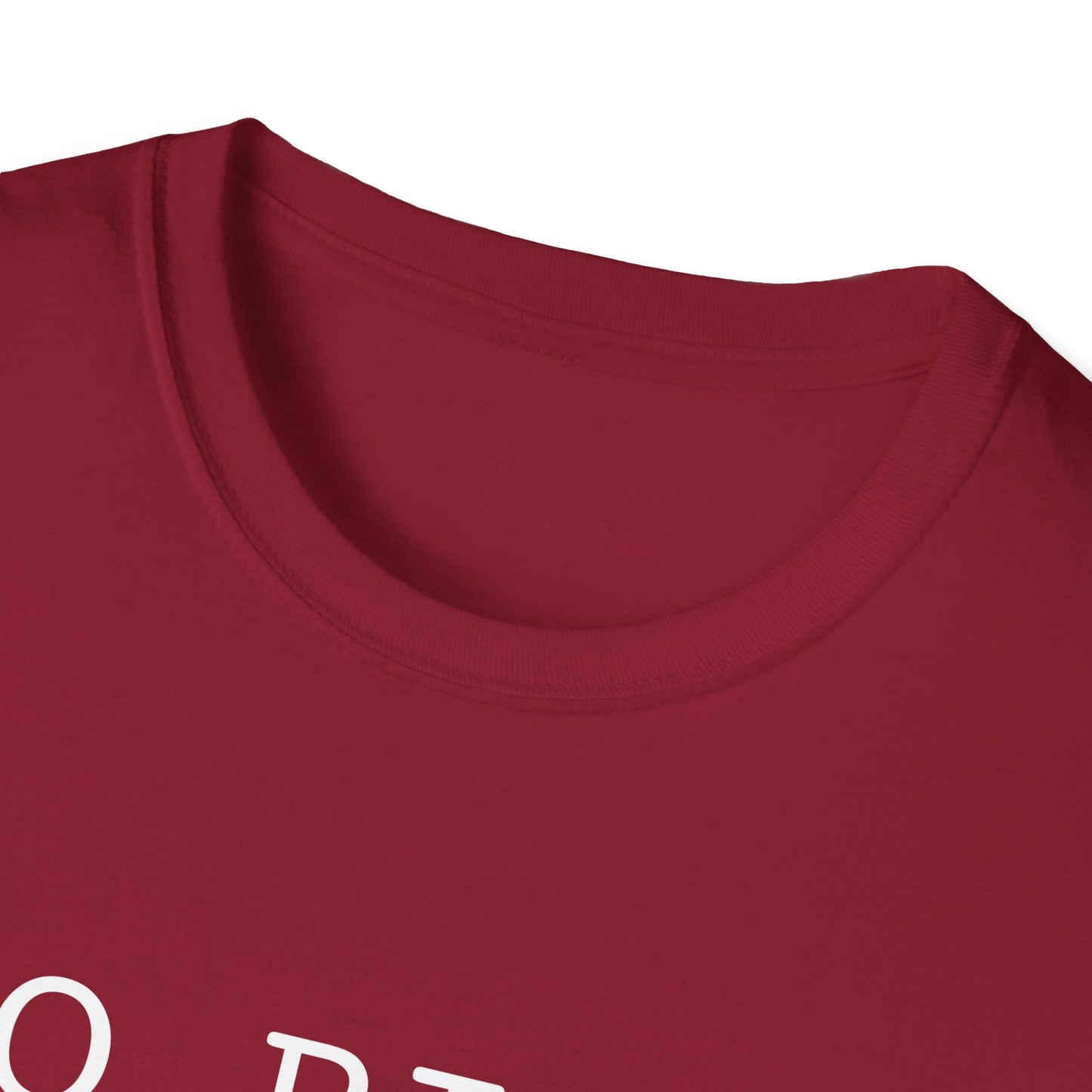 No Risk, No Story - Unisex Softstyle T-Shirt