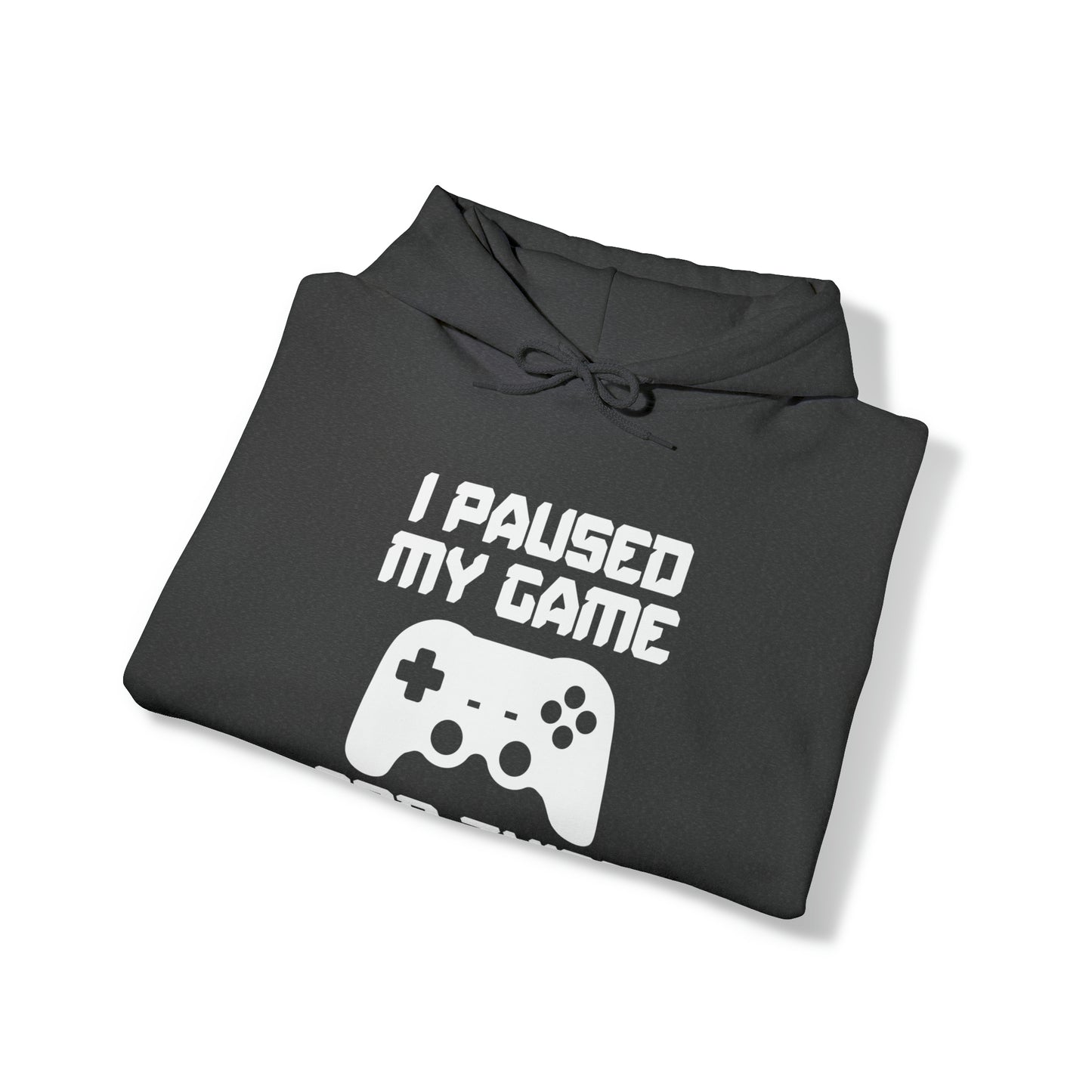 I Paused My Game For This? - Unisex Heavy Blend™ Hooded Sweatshirt