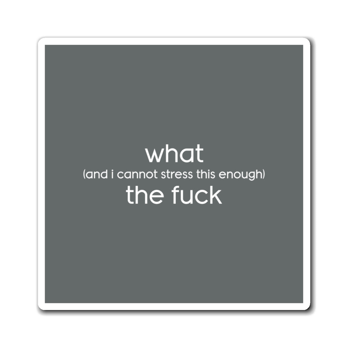 What (and I Cannot Stress This Enough) The F&@$ - Magnets