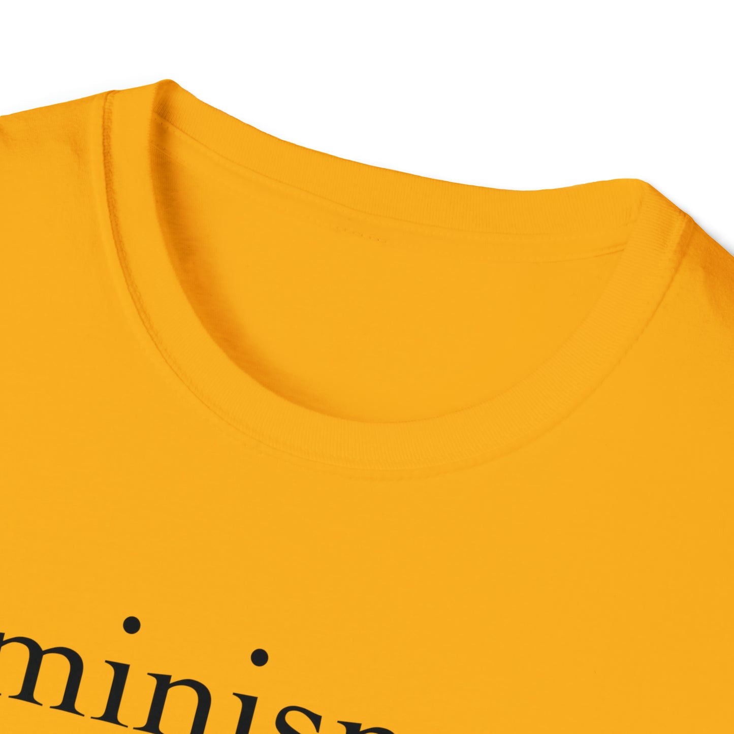 Feminism: The Radical Notion That Women Are People - Unisex Softstyle T-Shirt
