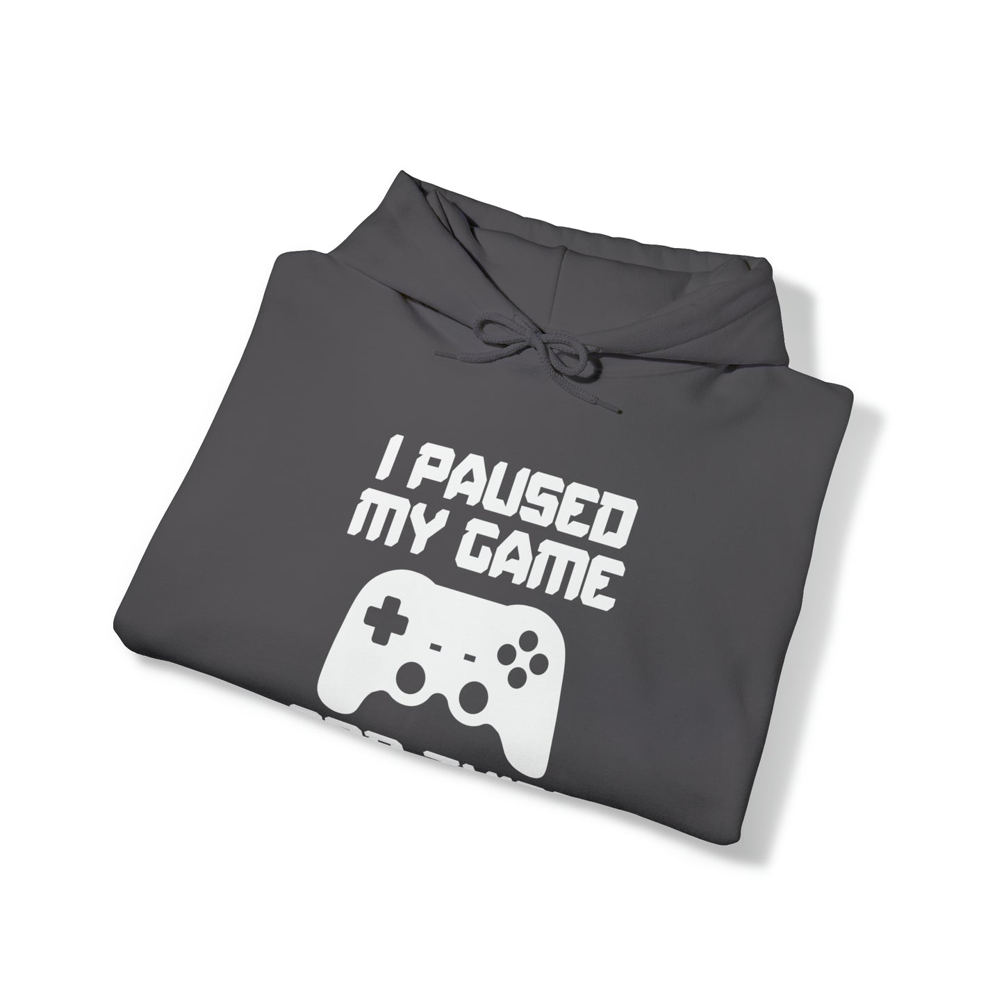 I Paused My Game For This? - Unisex Heavy Blend™ Hooded Sweatshirt