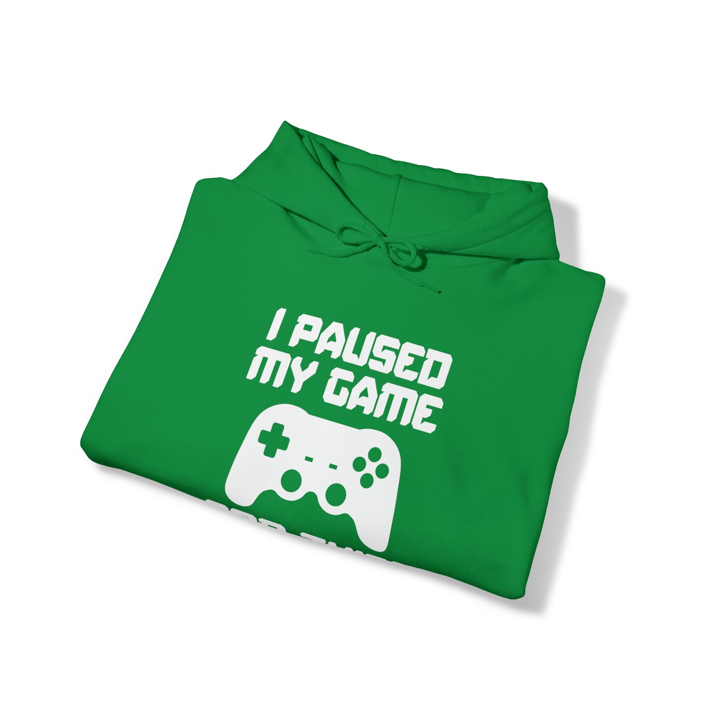 I Paused My Game For This? - Unisex Heavy Blend™ Hooded Sweatshirt