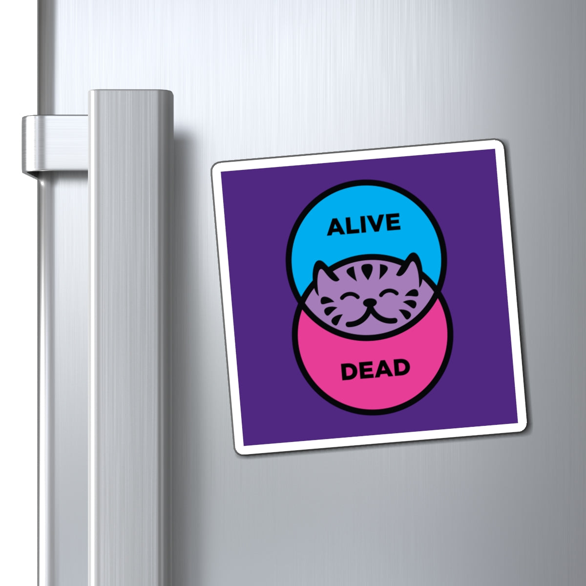 Schrödinger's Cat - Magnets