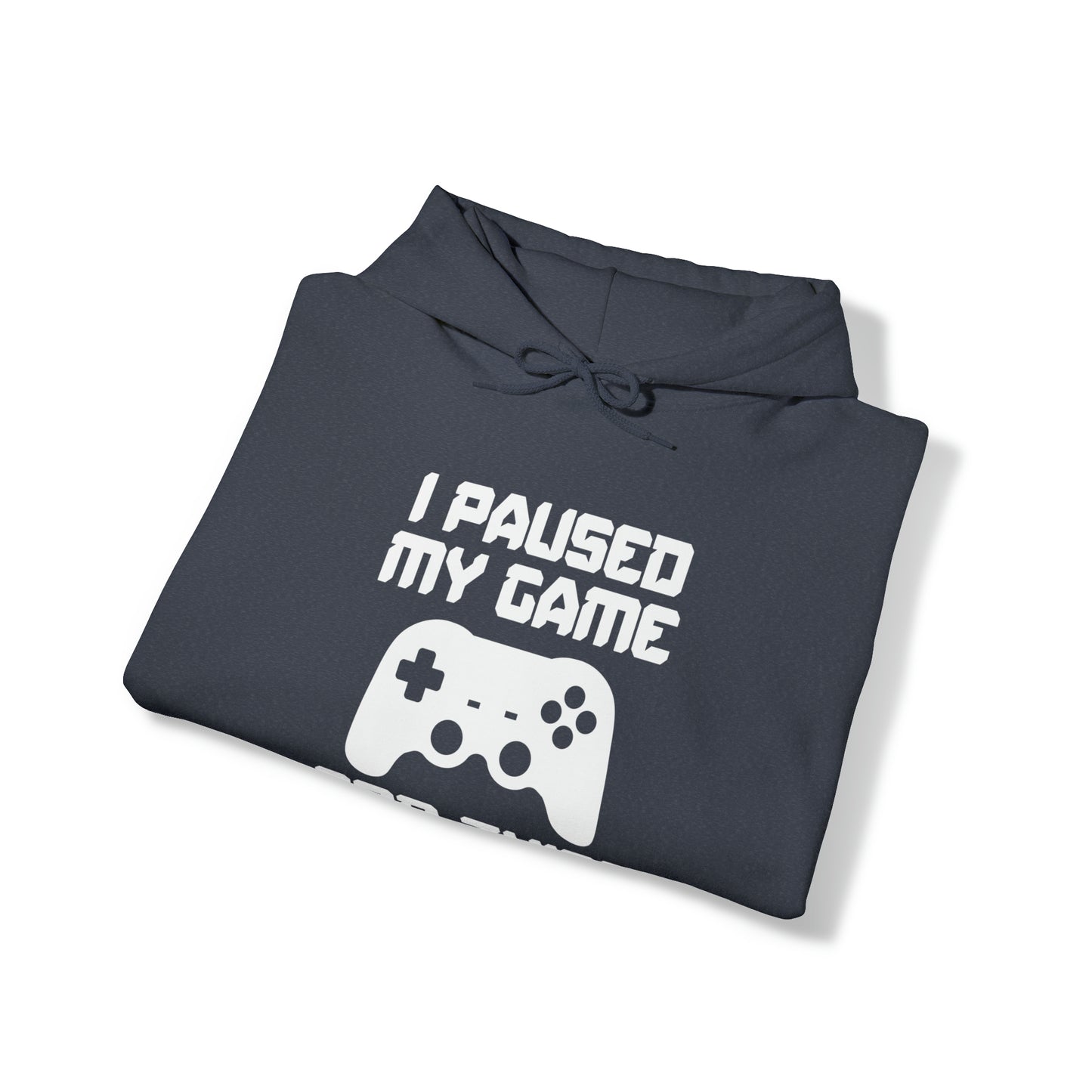 I Paused My Game For This? - Unisex Heavy Blend™ Hooded Sweatshirt