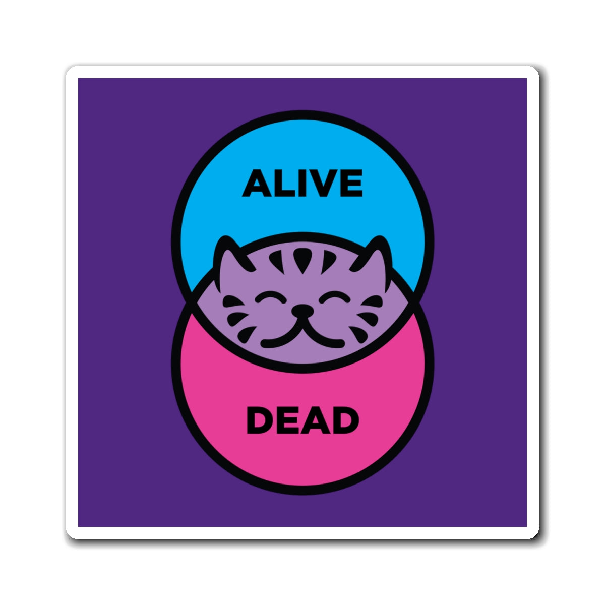 Schrödinger's Cat - Magnets