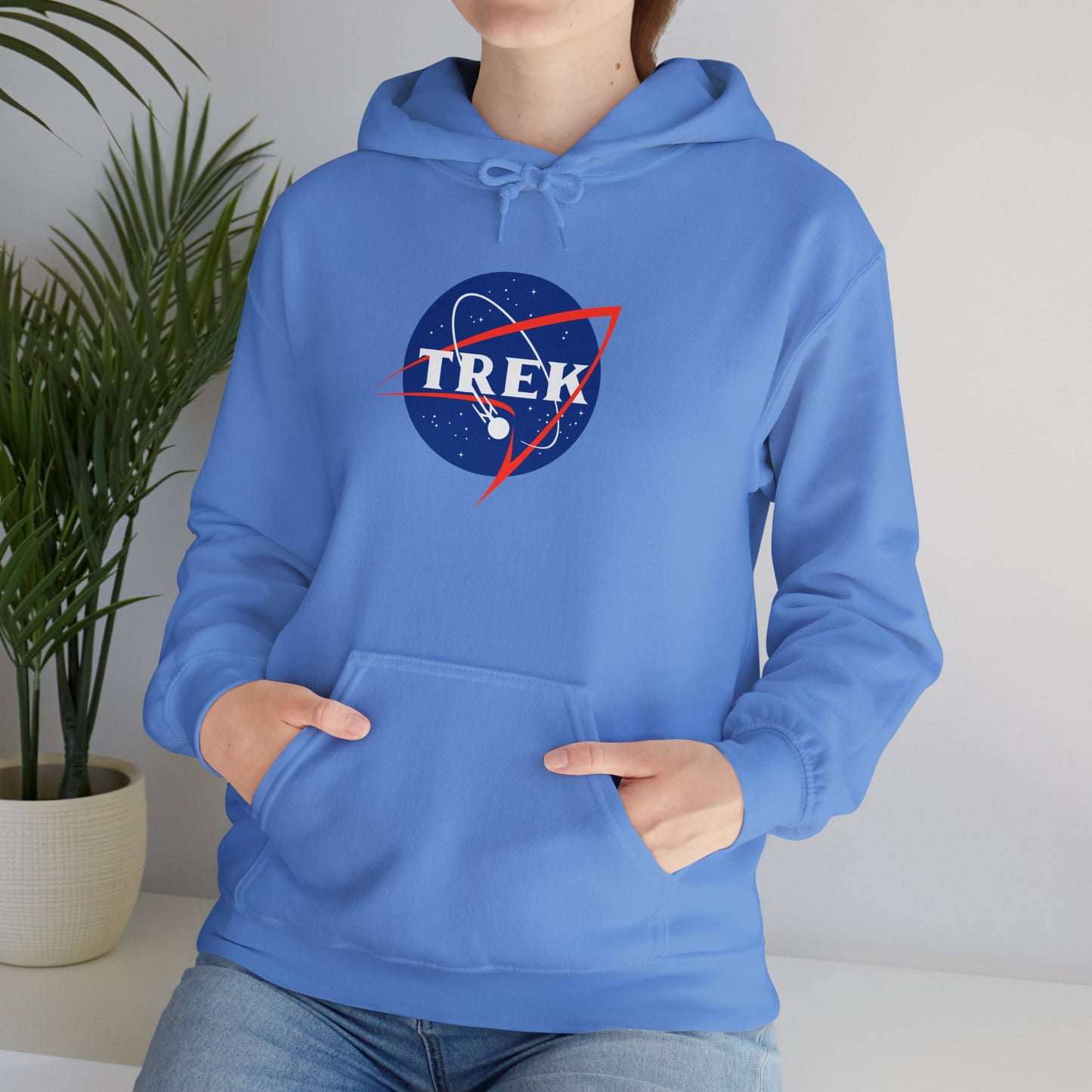 NASA / TREK Mash-Up - Unisex Heavy Blend™ Hooded Sweatshirt