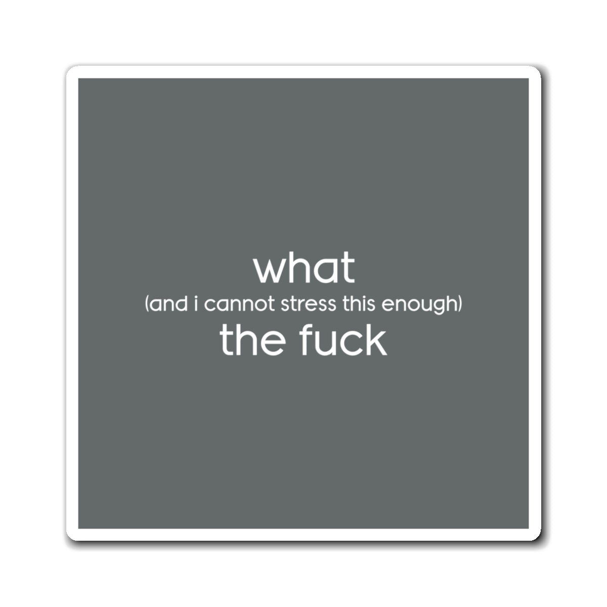 What (and I Cannot Stress This Enough) The F&@$ - Magnets