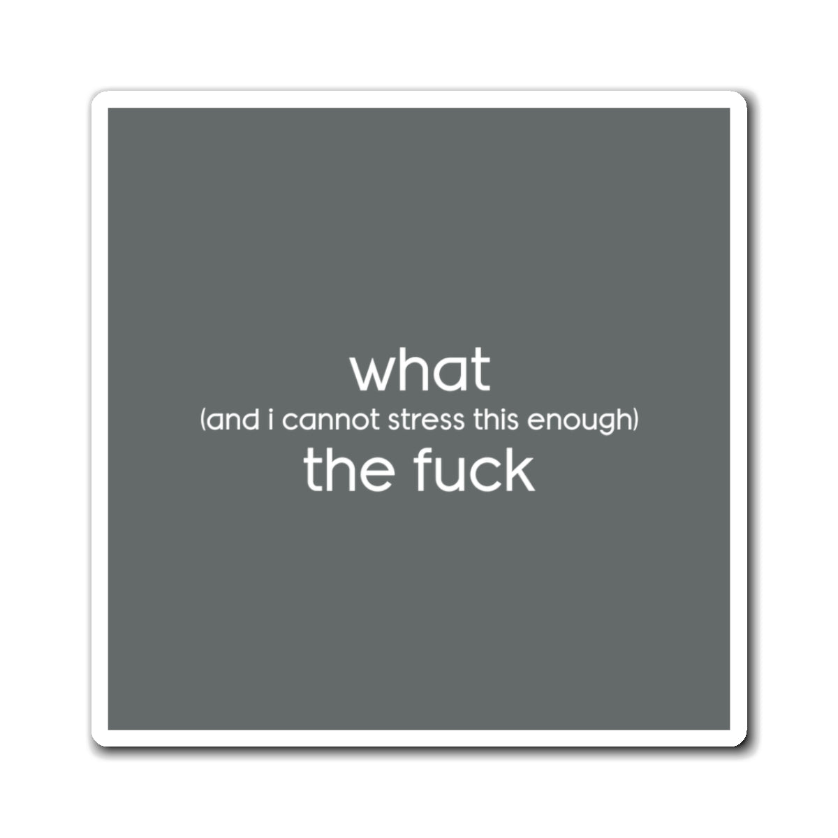 What (and I Cannot Stress This Enough) The F&@$ - Magnets