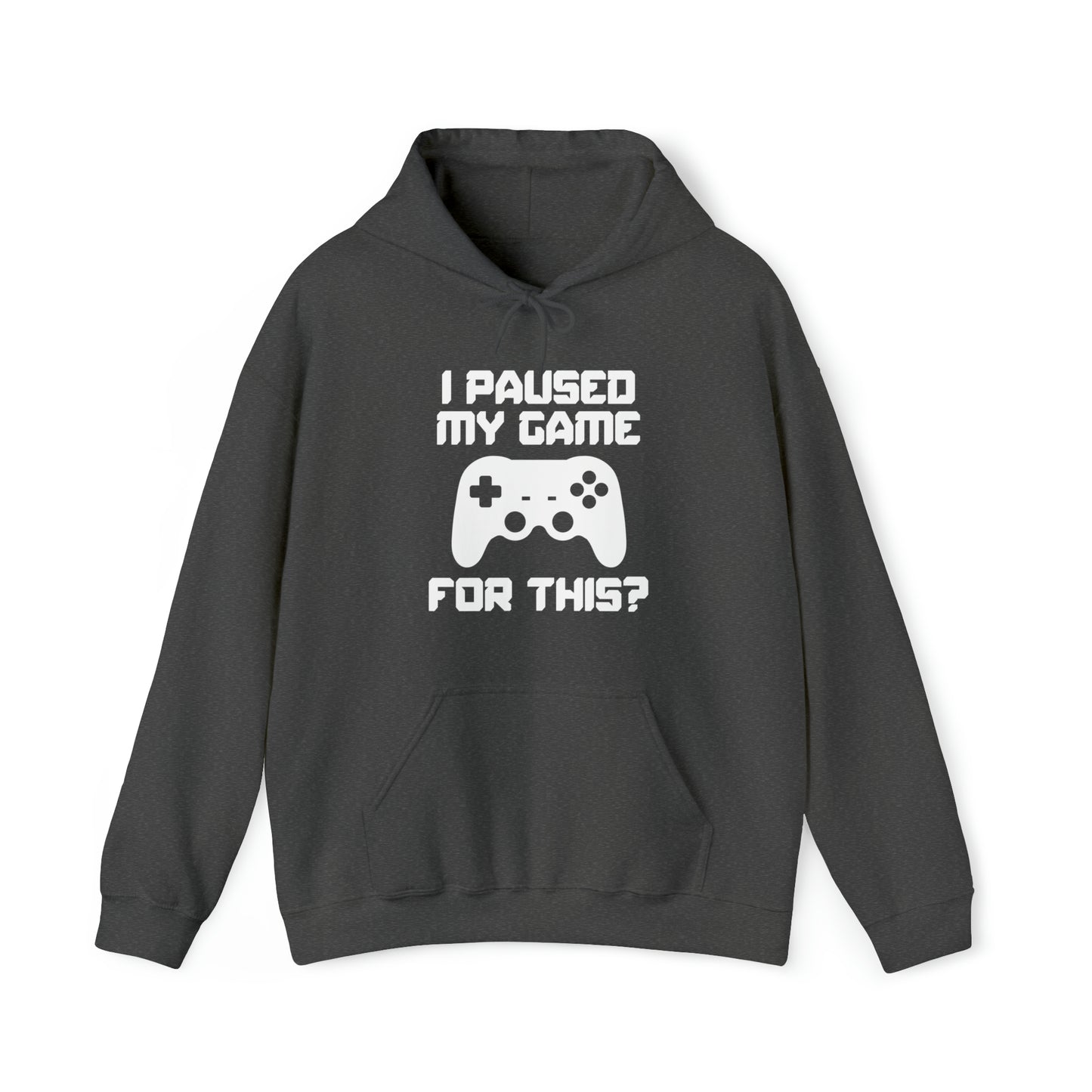I Paused My Game For This? - Unisex Heavy Blend™ Hooded Sweatshirt