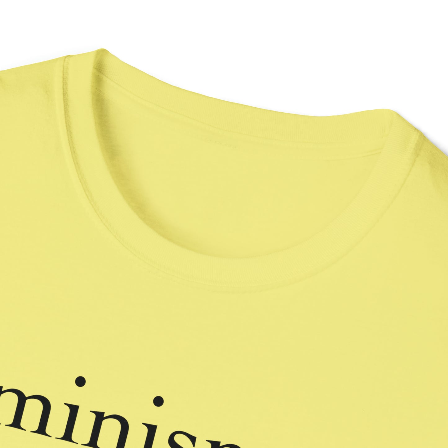 Feminism: The Radical Notion That Women Are People - Unisex Softstyle T-Shirt