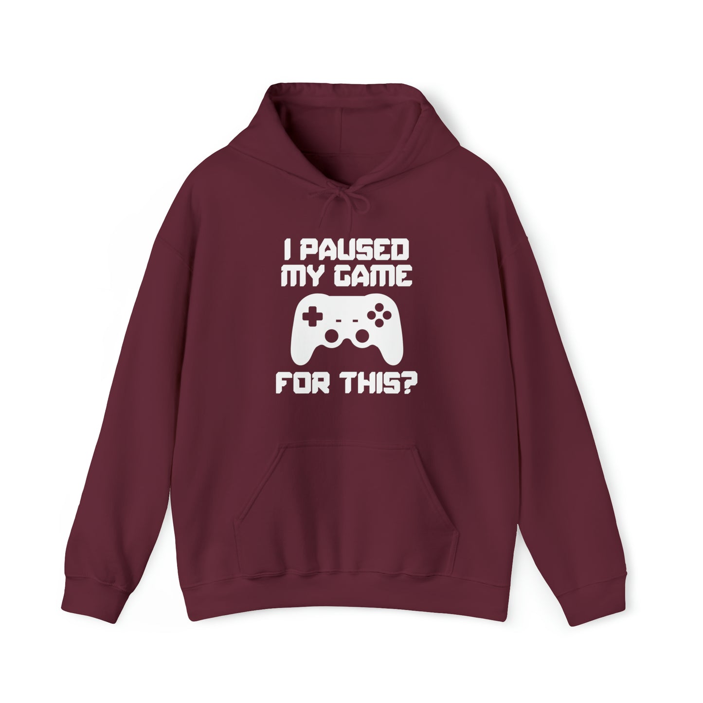 I Paused My Game For This? - Unisex Heavy Blend™ Hooded Sweatshirt