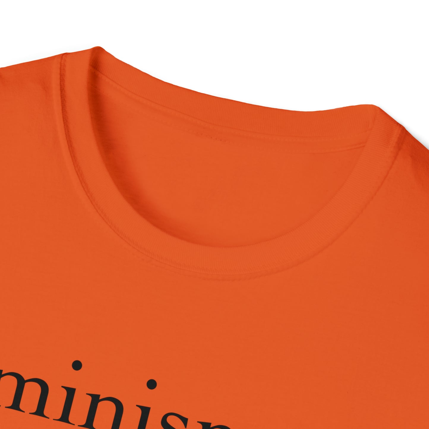 Feminism: The Radical Notion That Women Are People - Unisex Softstyle T-Shirt